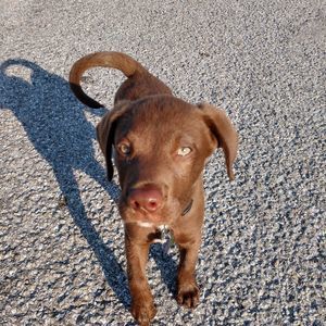 Meet your Posher, Vince